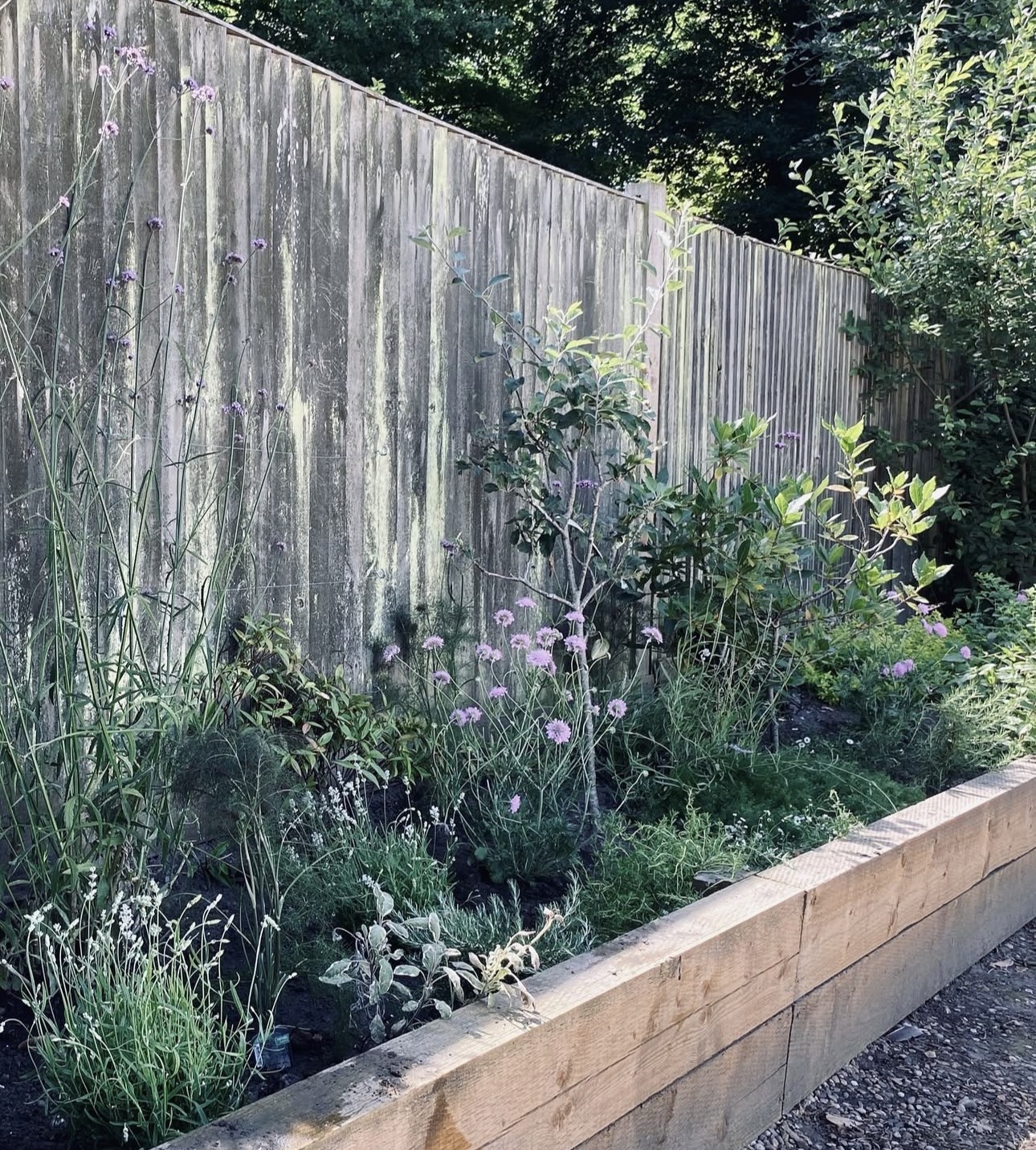 A finished, thriving flower bed in bloom along a garden fence