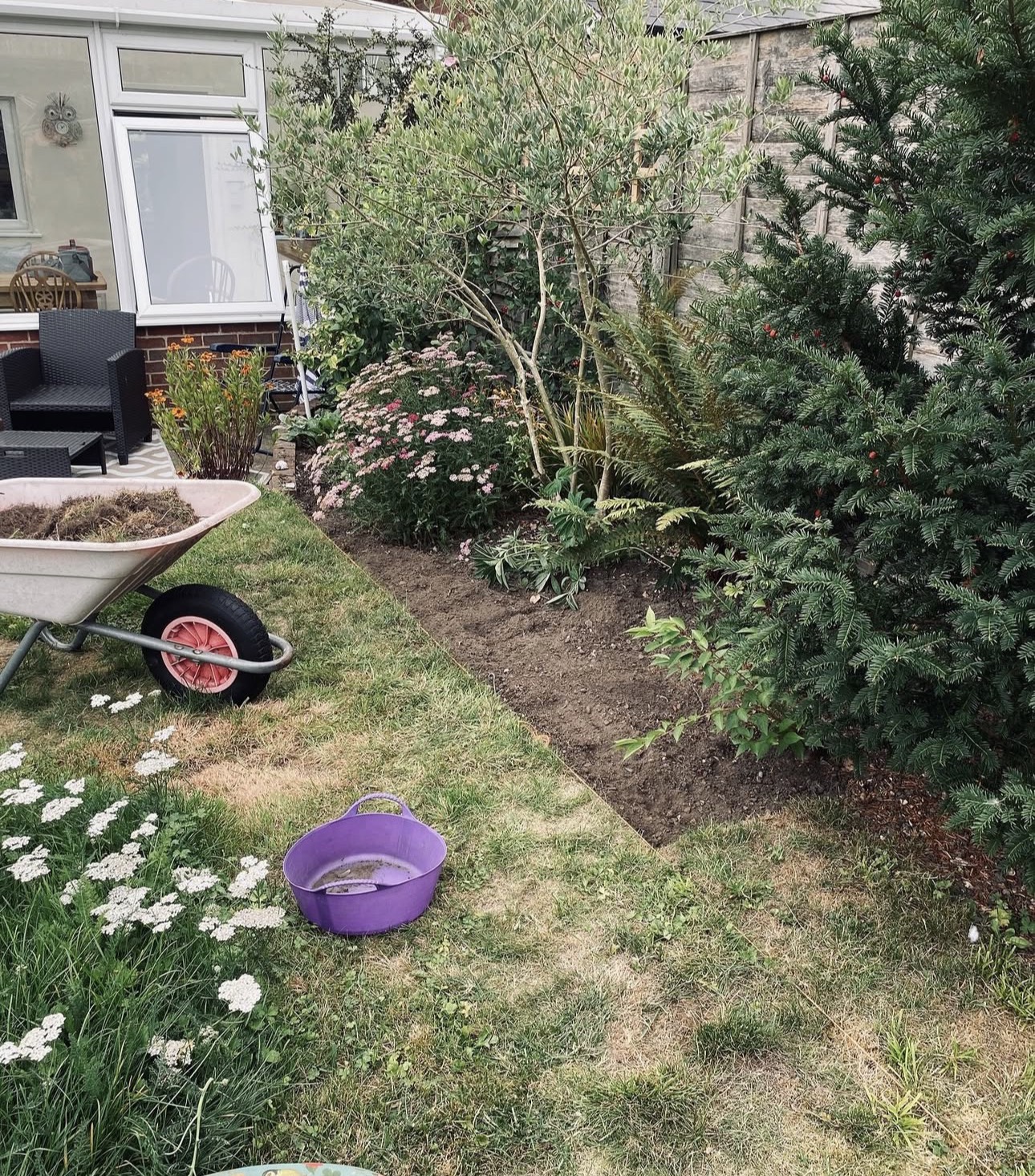 Wheelbarrow and tools beside a half-dug garden border mid-maintenance